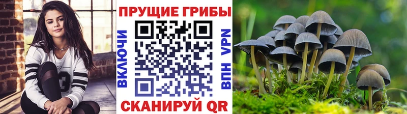 Галлюциногенные грибы мухоморы наркота Нижние Серги